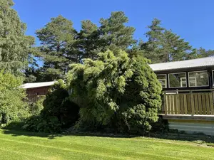 Ferienhaus für 5 Personen (70 m²) in Uddevalla