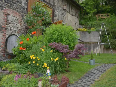 Ferienhaus für 3 Personen (48 m²) in Udler 5/10