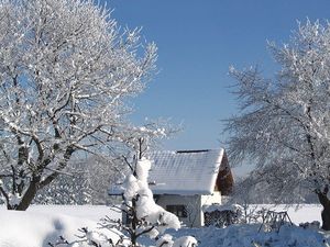 19341703-Ferienhaus-5-Übersee-300x225-3