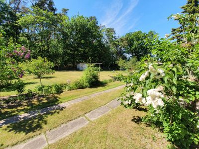 Direkte Umgebung des Objekts. Gartenbereich mit Liegewiese