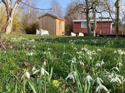 Ferienhaus für 10 Personen (140 m²) in Ueckermünde 7/10