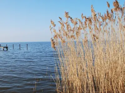 Ferienhaus für 10 Personen (140 m²) in Ueckermünde 9/10