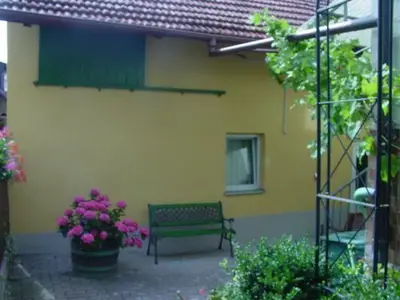 Weinbewachsener Innenhof