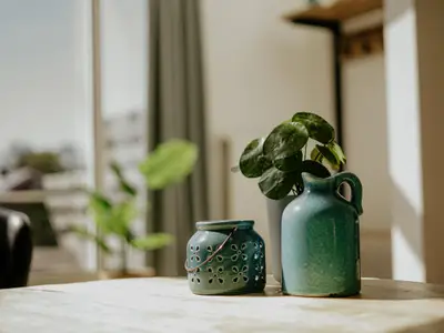 Ambiente / Nahaufnahme