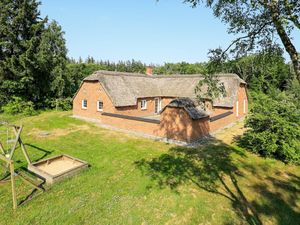 Ferienhaus für 14 Personen (212 m&sup2;) in Ulfborg