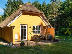 Ferienhaus für 5 Personen (62 m²) in Ulfborg