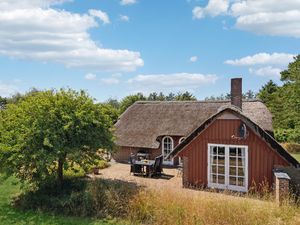 Ferienhaus für 6 Personen (100 m²) in Ulfborg