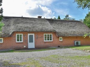 23728783-Ferienhaus-13-Ulfborg-300x225-5