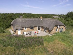 Ferienhaus für 11 Personen (200 m&sup2;) in Ulfborg