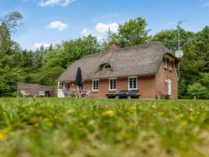 Ferienhaus für 6 Personen (107 m&sup2;) in Ulfborg