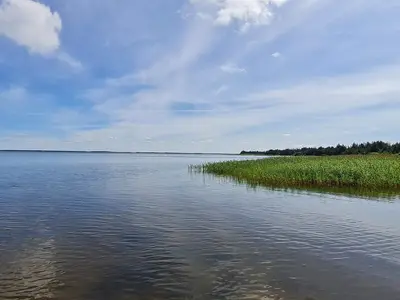 WaterView