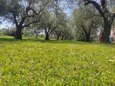 Ferienhaus für 4 Personen in Umag 4/10