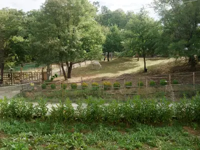 Bild 9
