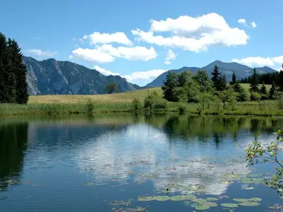Ferienhaus für 8 Personen (105 m²) in Unterach am Attersee 4/10