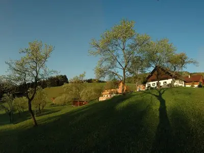 Ferienhaus für 8 Personen (105 m²) in Unterach am Attersee 2/10
