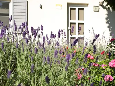 Ferienhaus für 6 Personen (91 m²) in Göhren Lebbin 3/10