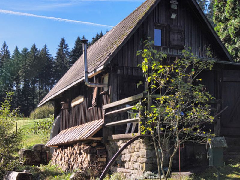 Die Mühle am Wolfsgrund