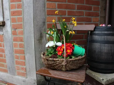 Frühlingsboten