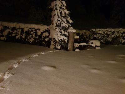 Ferienhaus für 12 Personen (170 m²) in Untertauern 5/10