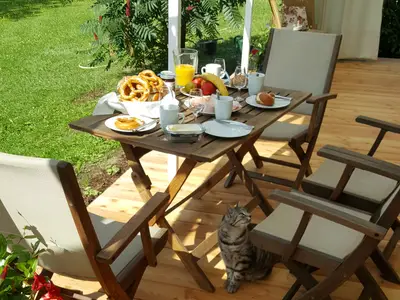 Blick vom Wintergarten auf den Garten
