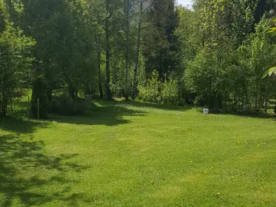 Blick in den Garten