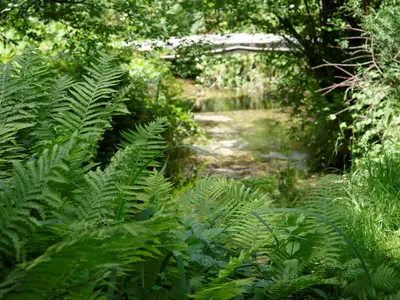 Naturbelassener Bach im Grundstück