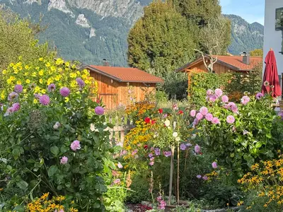Bauerngarten mit Chalets