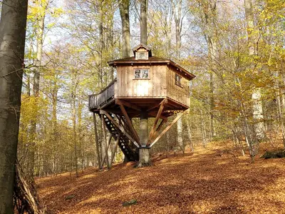Baumhaus Kobel im Herbstwald.