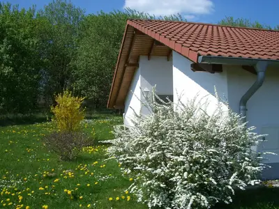 ExteriorSummer