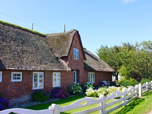 Ferienhaus für 4 Personen (76 m&sup2;) in Utersum