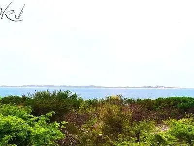 Ferienhaus für 1 Person (15 m²) in Utersum 6/6