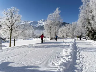 AreaWinter5KM