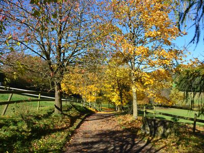 Pfauenweg im Herbst