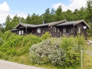 Ferienhaus für 8 Personen (100 m²) in Uvdal