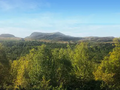view-from-room