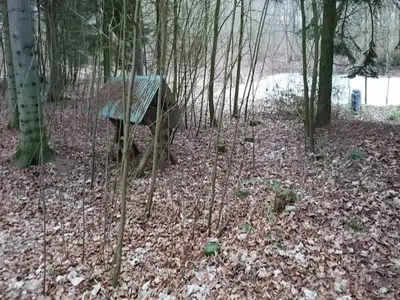 Outdoor