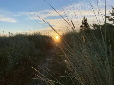 Outdoor