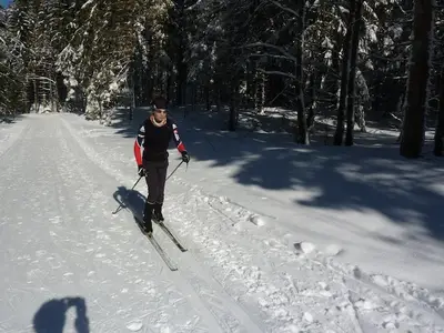 AreaWinter5KM