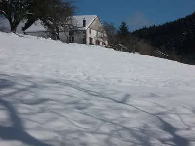 ExteriorWinter
