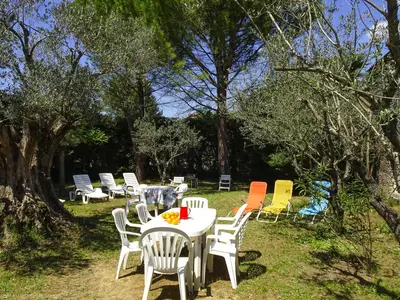 ViewSummer