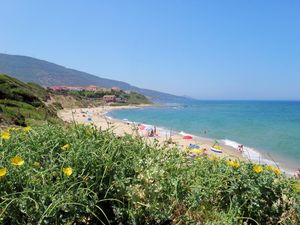 Direkte Umgebung des Objekts. Lokaler Sandstrand