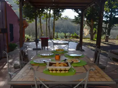 terrace