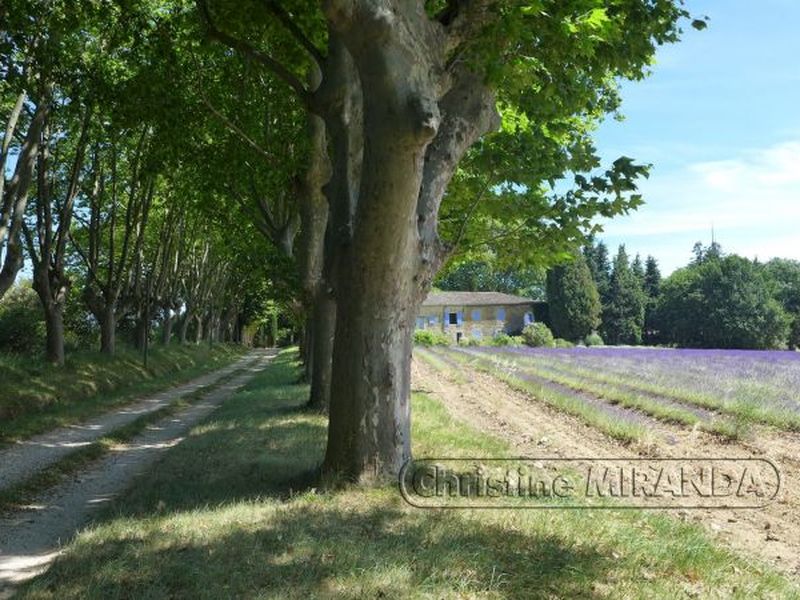 23486550-Ferienhaus-6-Valréas-800x600-1