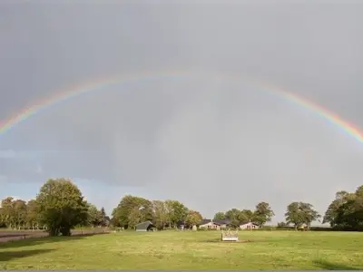 Ferienhaus für 4 Personen (90 m²) in Varel 8/10
