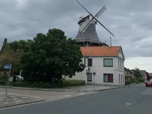 Ferienhaus für 3 Personen (78 m²) in Varel