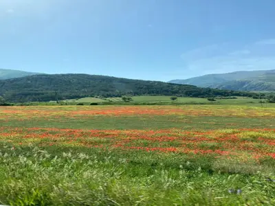 AreaSummer20KM
