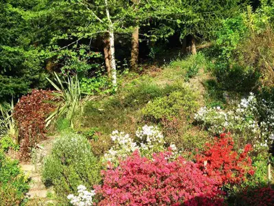 Bild 7