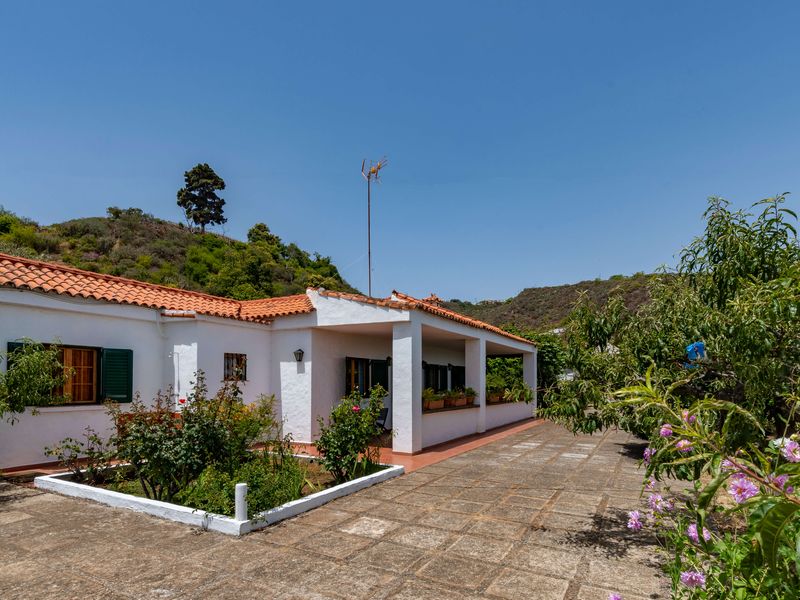 22156545-Ferienhaus-6-Vega de San Mateo-800x600-0