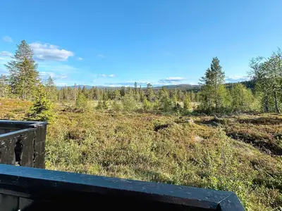 Outdoor