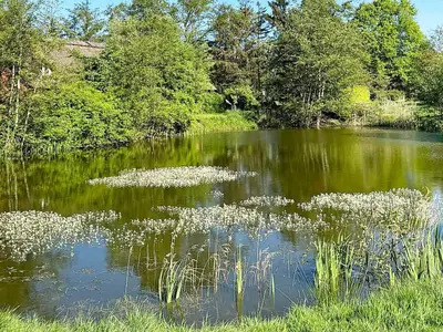 WaterView